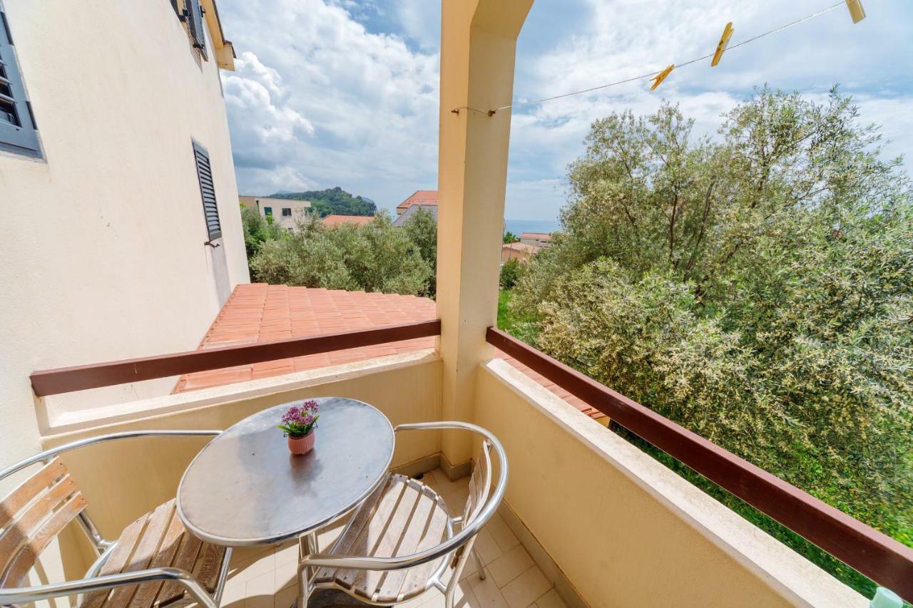 Gregovic Family Apartments Petrovac Екстериор снимка